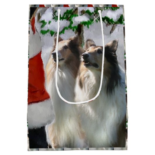 Collies en Kerstman Kerstmis Medium Cadeauzakje (Achterkant)