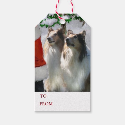 Collies ontmoeten Kerstmis Cadeaulabel (Voorkant)