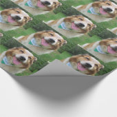 colliummix aan de grens cadeaupapier (Hoek)