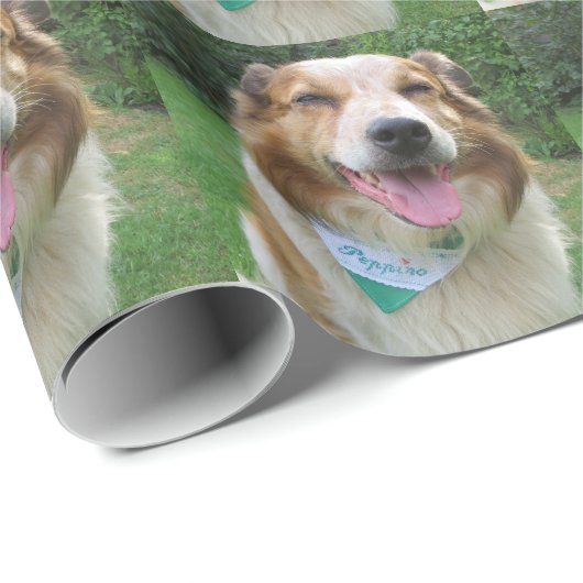 colliummix aan de grens cadeaupapier (Rol Hoek)