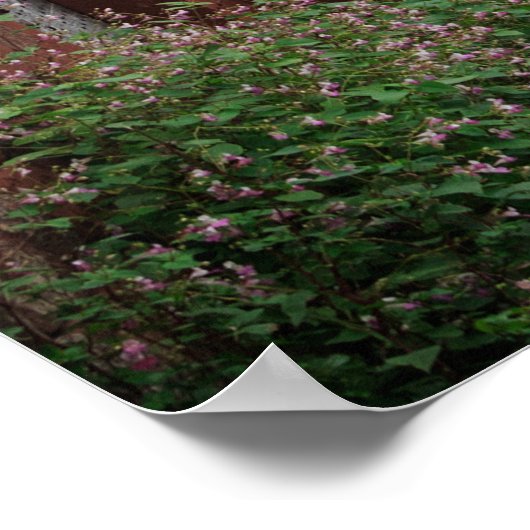 Collonges-la-Rouge, het poster van het rode dorp (Hoek)