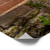 Colmar, Elzas, Frankrijk schilderachtig foto Poster (Hoek)