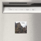 Colmar Magneet (Insitu (Vaatwasser))