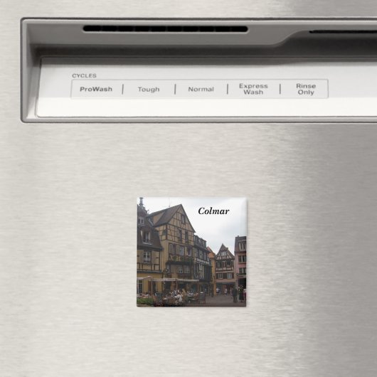 Colmar Magneet (Insitu (Vaatwasser))