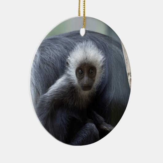 Colobus polykomos keramisch ornament (Rechts)