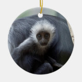Colobus polykomos keramisch ornament (Voorkant)