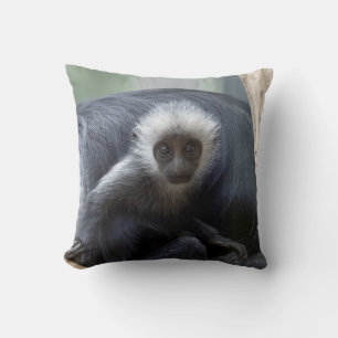 Colobus polykomos kussen