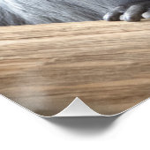 Colobus polykomos perfect poster (Hoek)