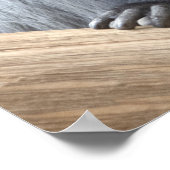 Colobus polykomos poster (Hoek)