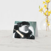 Colobus Ricci Kaart (Gele Bloem)