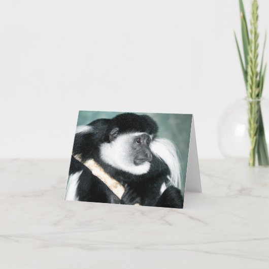 Colobus Ricci Kaart (Voorkant)
