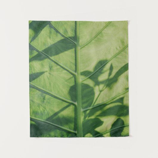 Colocasia esculenta leaf wandkleed (Voorkant)