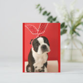 Cologalita Usamimi Postcards Briefkaart (Staand voorkant)