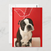 Cologalita Usamimi Postcards Briefkaart (Voorkant / Achterkant)