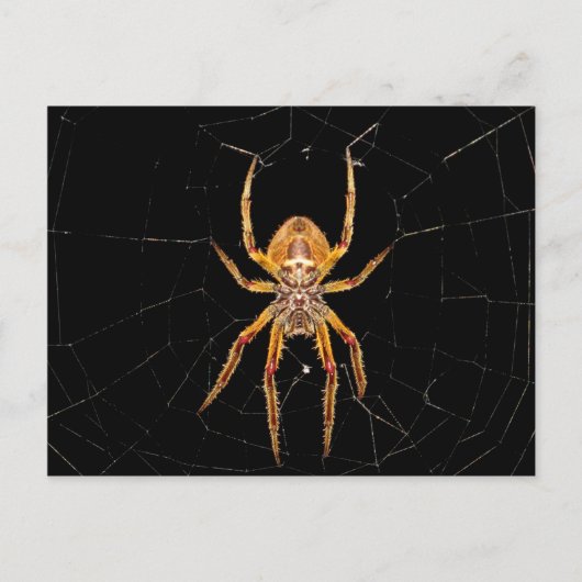 colombia briefkaart (Voorkant)