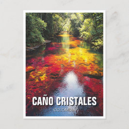 Colombia Cano Cristales Reizen Briefkaart