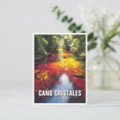 Colombia Cano Cristales Reizen Briefkaart (Staand voorkant)
