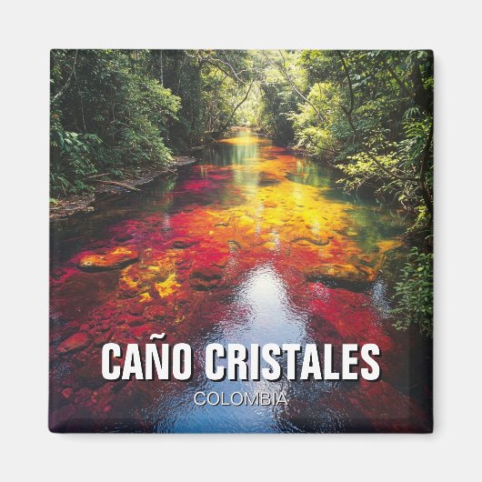 Colombia Cano Cristales Reizen Magneet (Voorkant)