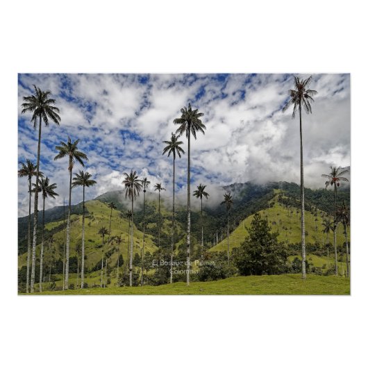 Colombia - El Bosque de Palmas Perfect Poster (Voorkant)