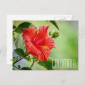 colombia hibiscus flower briefkaart (Voorkant / Achterkant)