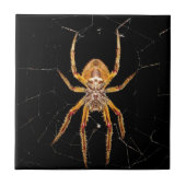 colombia tegeltje (Voorkant)