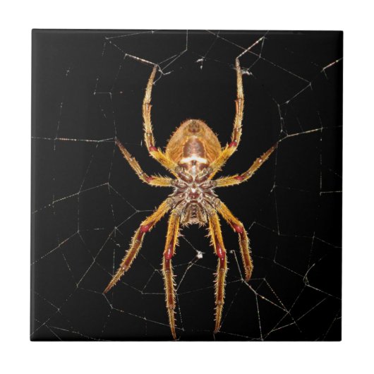 colombia tegeltje (Voorkant)