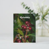 Colombiaanse koffiebonen briefkaart (Staand voorkant)