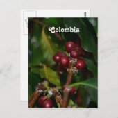 Colombiaanse koffiebonen briefkaart (Voorkant / Achterkant)