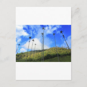 Colombiaanse waspalmbomen in de Cocoraval Briefkaart