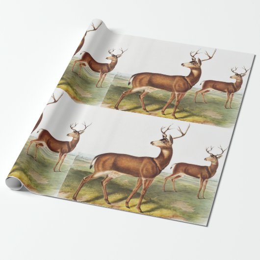 Colombiaanse zwarte dieper (Cervus Richardsonii) Cadeaupapier (Uitgerold)