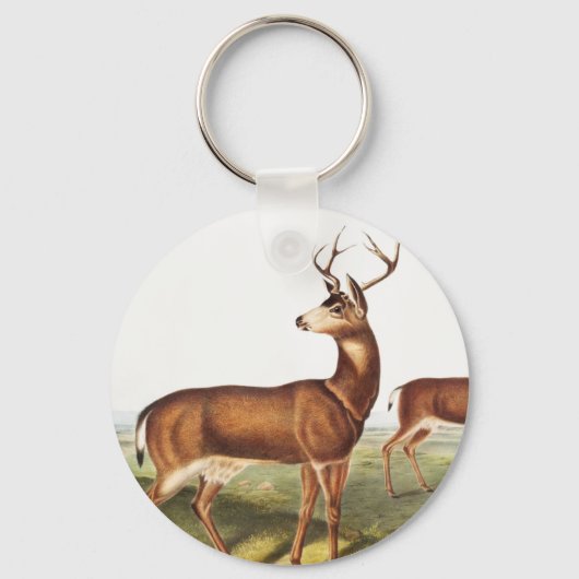 Colombiaanse zwarte dieper (Cervus Richardsonii) Sleutelhanger (Voorkant)