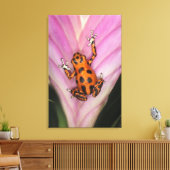 Colon Isle Dart Frog, Oophaga pumilio Canvas Afdruk (Insitu (Woonkamer))