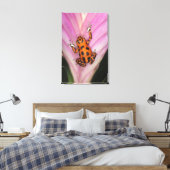 Colon Isle Dart Frog, Oophaga pumilio Canvas Afdruk (Insitu (Slaapkamer))