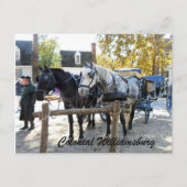 Colonial Williamsburg Briefkaart (Voorkant)