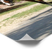 Colonial Williamsburg Carriage - Print (Hoek)