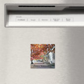 Colonial Williamsburg Magneet (Insitu (Vaatwasser))