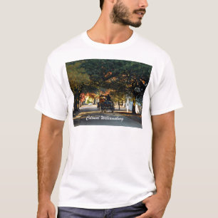 Colonial Williamsburg T-shirt