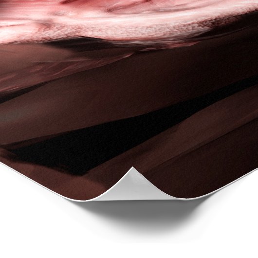 Colonkanker poster (Hoek)