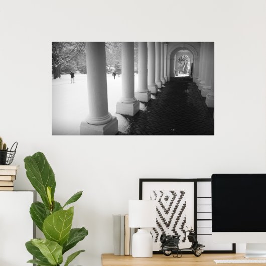 Colonnade in de sneeuw poster (Thuiskantoor)