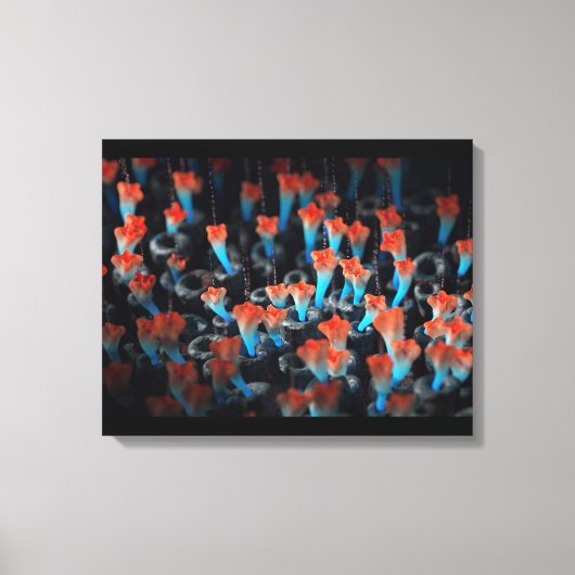 Colony Canvas Afdruk (Voorkant)