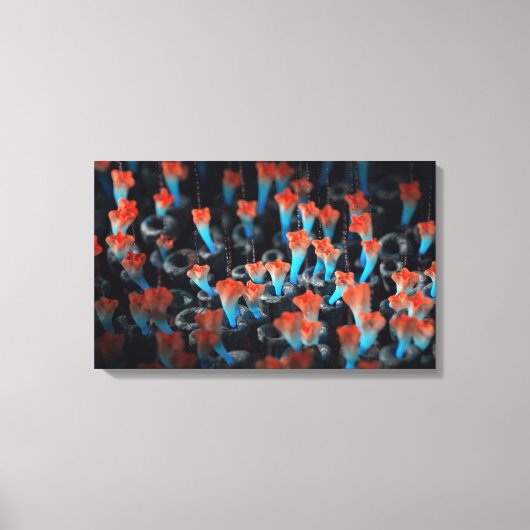 Colony Canvas Afdruk (Voorkant)