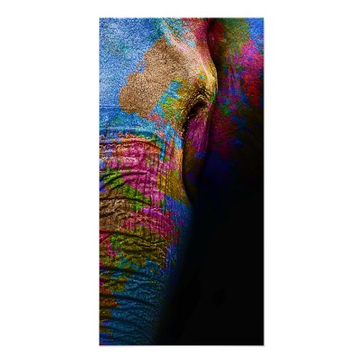 Color Elephant - Poster (Voorkant)