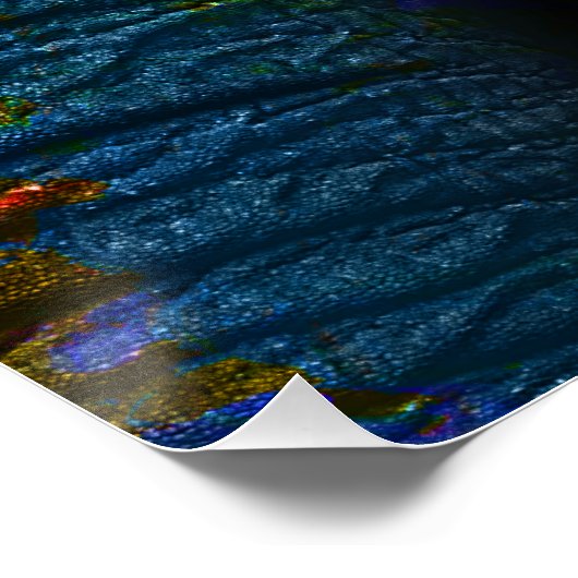 Color Elephant - Poster (Hoek)