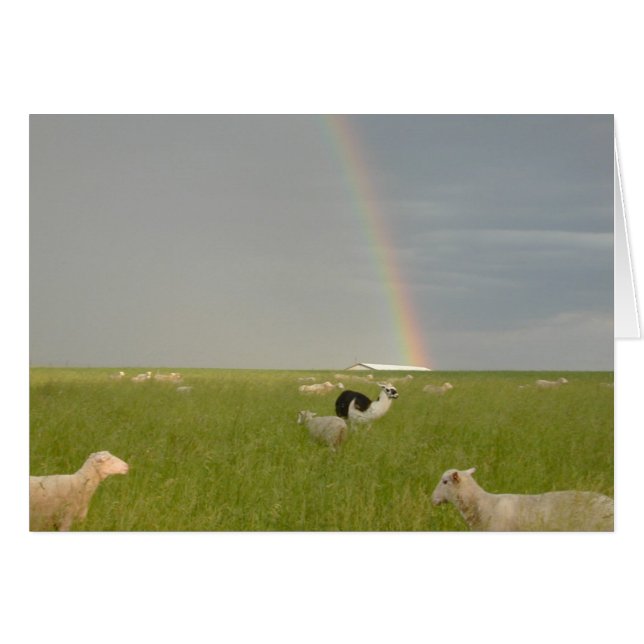 Color Guard 2-kaart (Voorkant Horizontaal)