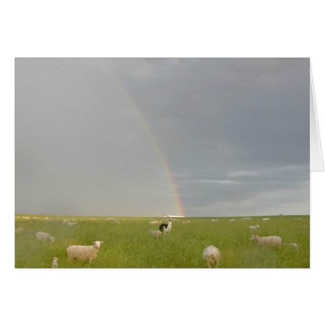 Color Guard-kaart (Voorkant Horizontaal)