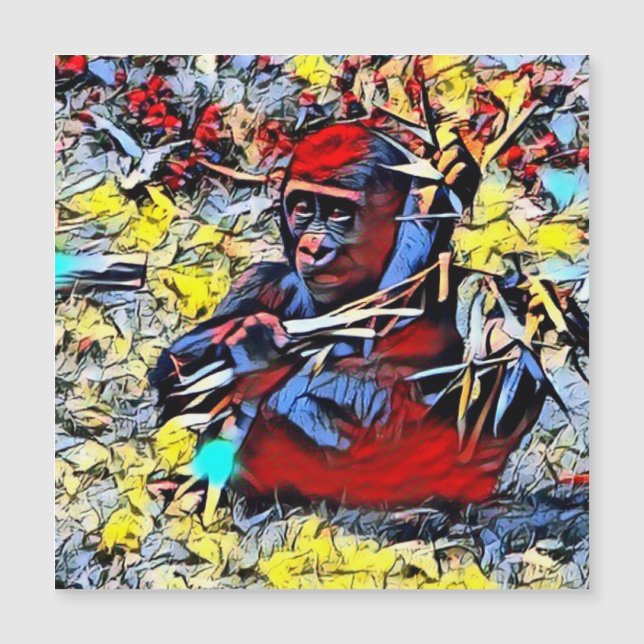 Color Kick - Gorilla Baby (Voorkant)