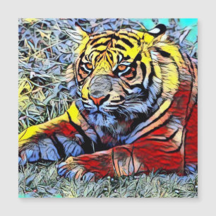 Color Kick - Tiger 2