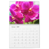 Color magic orchids kalender (Jan 2027)