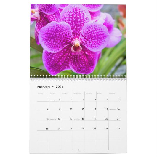 Color magic orchids kalender (Feb 2026)