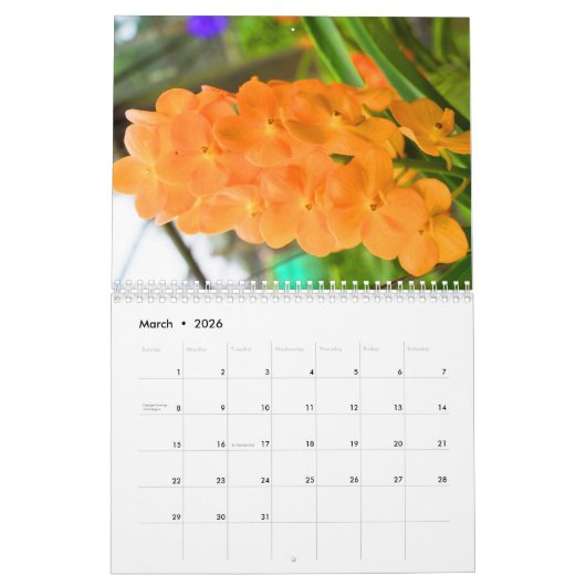 Color magic orchids kalender (Mar 2026)